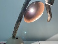 20210614_125958299_iOS